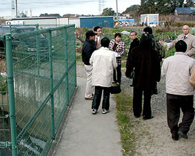 ���Q���Ō��n���@�\�\��ʁE��Ύs