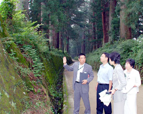 �����؊X���Ő����󂯂�