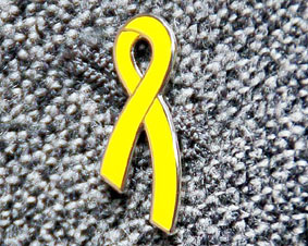 ��Q�҂̎����ƎЉ�Q���Ȃǂ��ۏ؂����Љ���߂����^�����i�̃}�[�N���C�G���[���{��