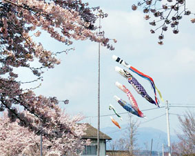 �u���R�ʘH�y�щw�O�L��̐����E�Ǘ��Ɋւ��錟����v�ō����Ȃ���q�A�����O