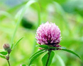 �S�������J���Ҍ㉇��N�W��ł�������