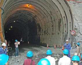 ���r���g���l���H�������